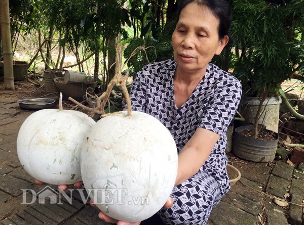 5 dac san o vung cao Quang Ngai khong phai ai cung biet-Hinh-9