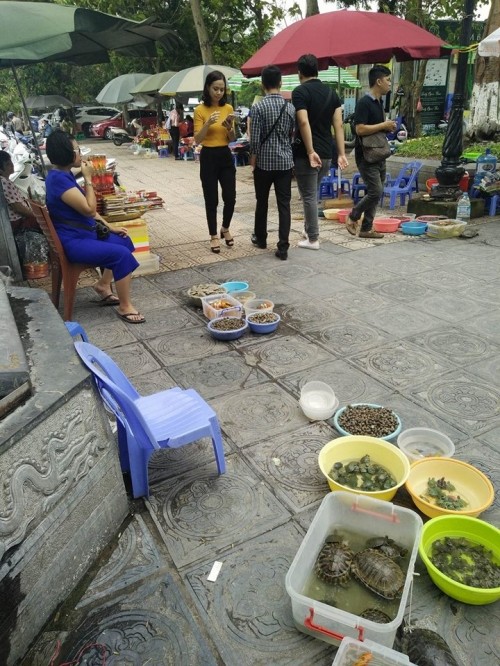 Le Vu Lan Chim, ca phong sinh di vao... cua tu-Hinh-2