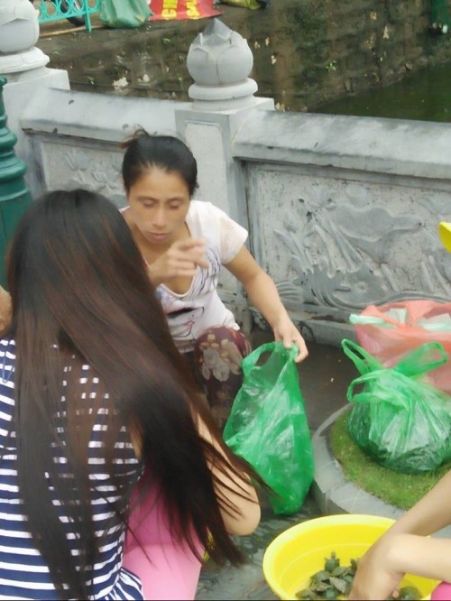 Le Vu Lan Chim, ca phong sinh di vao... cua tu-Hinh-3