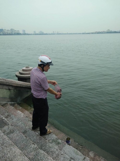 Le Vu Lan Chim, ca phong sinh di vao... cua tu-Hinh-8