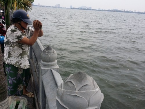 Le Vu Lan Chim, ca phong sinh di vao... cua tu-Hinh-9