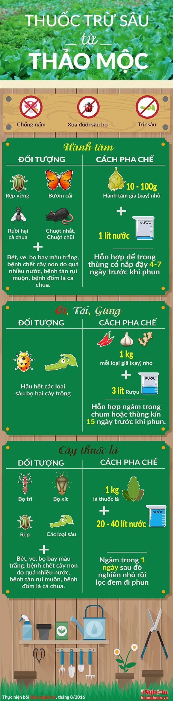 [Infographic] Cach lam thuoc tru sau bang hanh tam, ot, toi, gung