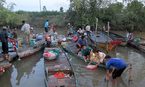 Thang 8, nguoi mien Tay ngong cho lu