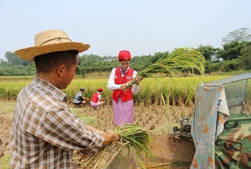 Tiep vien hang khong di giay cao got gat lua gay bao-Hinh-8