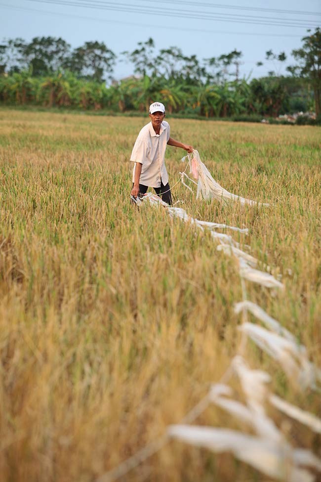 Kiem tien trieu moi ngay tu san chau chau-Hinh-4