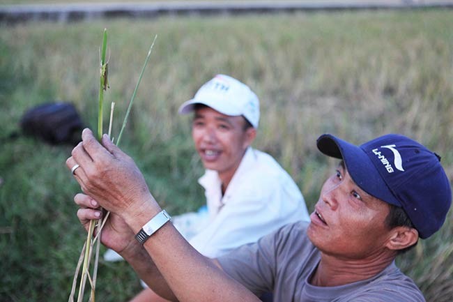 Kiem tien trieu moi ngay tu san chau chau-Hinh-5