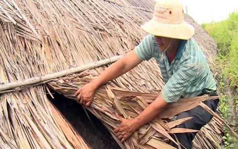 Diem dan Bac Lieu lao dao vi muoi den kho ban-Hinh-2