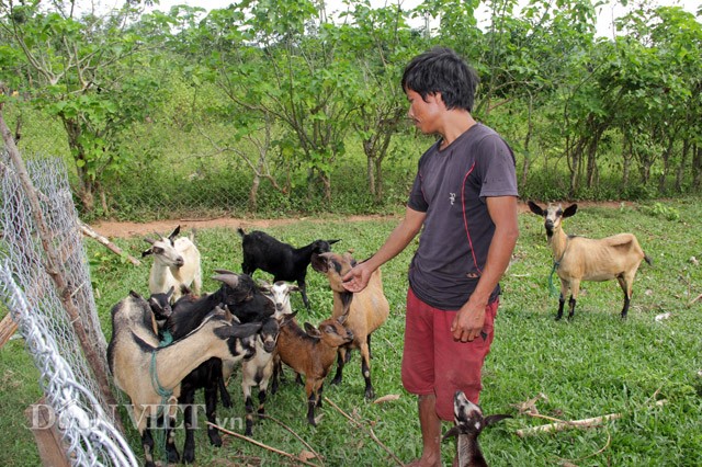 Lan loi len ban san dac san de nui an Tet-Hinh-6