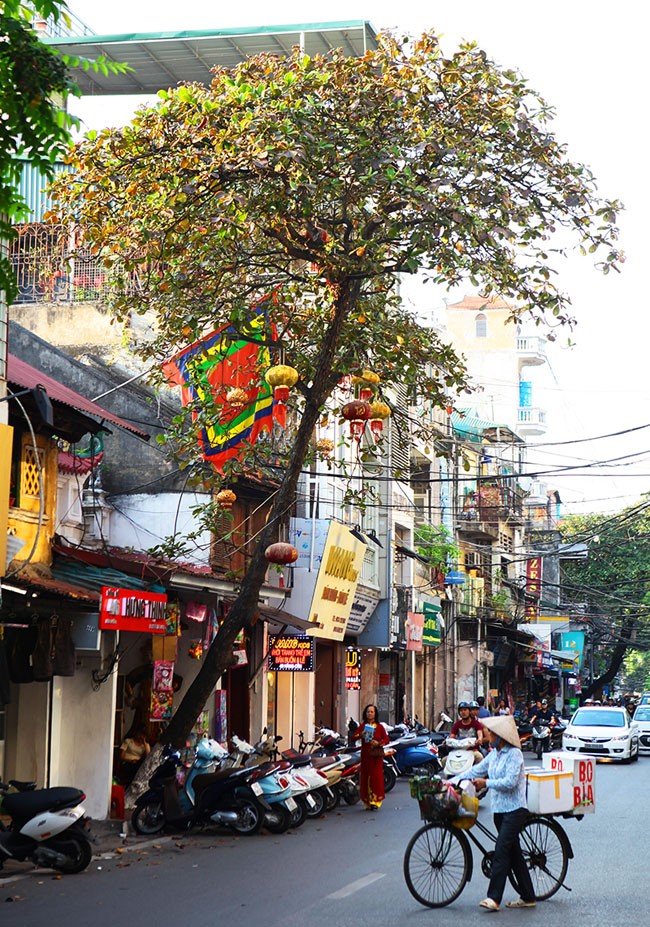 Ngan ngo ngam Ha Noi thay ao voi sac do la bang-Hinh-6