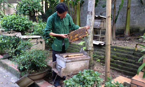 Trang trai nuoi con dac san cua trieu phu nguoi Muong