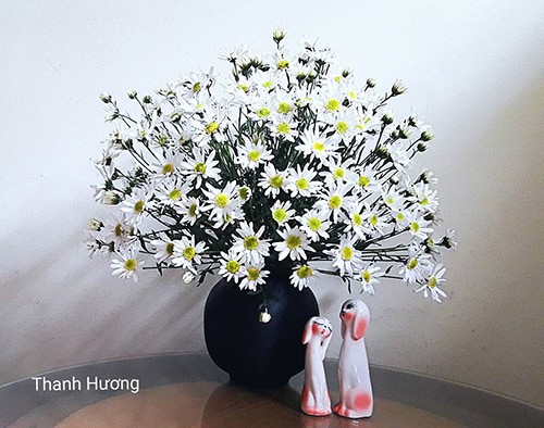 Xem chi em Ha Thanh cam cuc hoa mi ruc ro mot goc nha-Hinh-6
