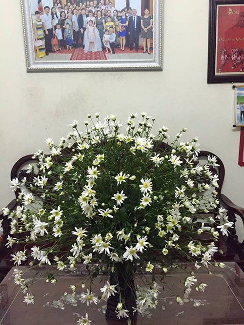 Xem chi em Ha Thanh cam cuc hoa mi ruc ro mot goc nha-Hinh-8