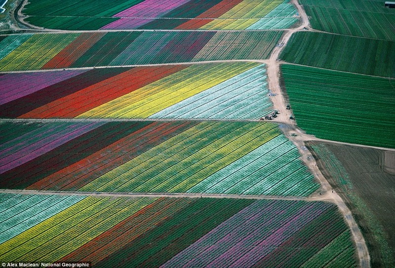 Nhung khung canh dieu ky trong bo anh cua National Geographic-Hinh-4