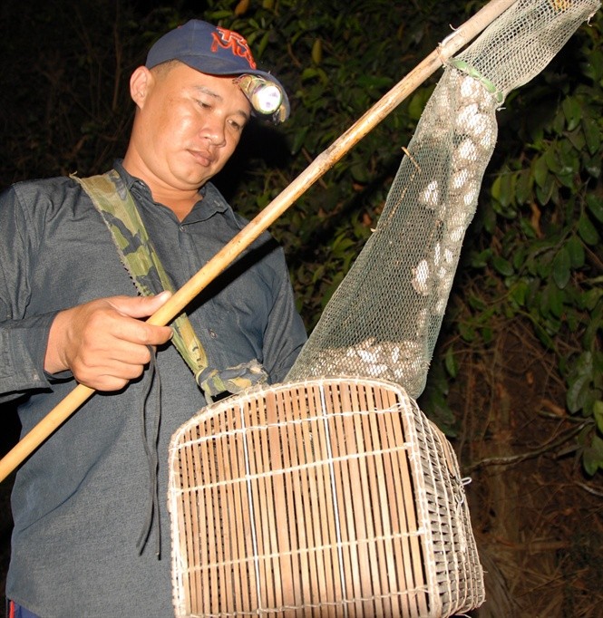 Hanh trinh di dem san kieu nu dai gia phuc vu Tet-Hinh-3