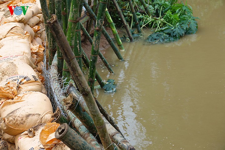 Quang Ngai Lang hoa Nghia My kho so chong choi voi lu-Hinh-15