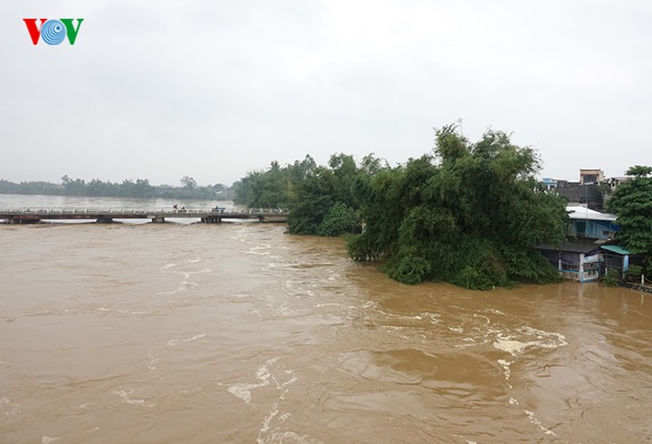 Quang Ngai Lang hoa Nghia My kho so chong choi voi lu-Hinh-2