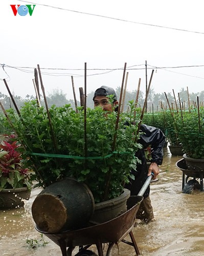 Quang Ngai Lang hoa Nghia My kho so chong choi voi lu-Hinh-5