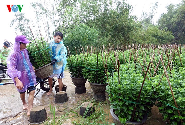 Quang Ngai Lang hoa Nghia My kho so chong choi voi lu-Hinh-7