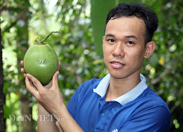 Cách chọn quả dừa ngon  các loại dừa phổ biến hiện nay  VinID