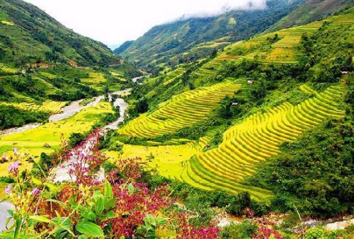 Sapa lot vao 10 diem den hap dan nhat chau A 2017-Hinh-6