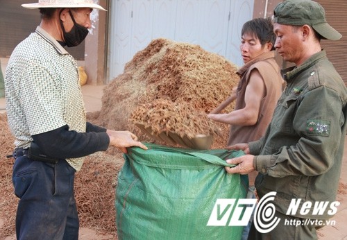 Khu cho chat nhu nui loai cu quy den noi vang khong doi-Hinh-12