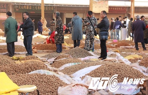 Khu cho chat nhu nui loai cu quy den noi vang khong doi-Hinh-14