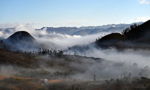 Tan huong khung canh thien duong o Dong Van, Hoa Giang-Hinh-9