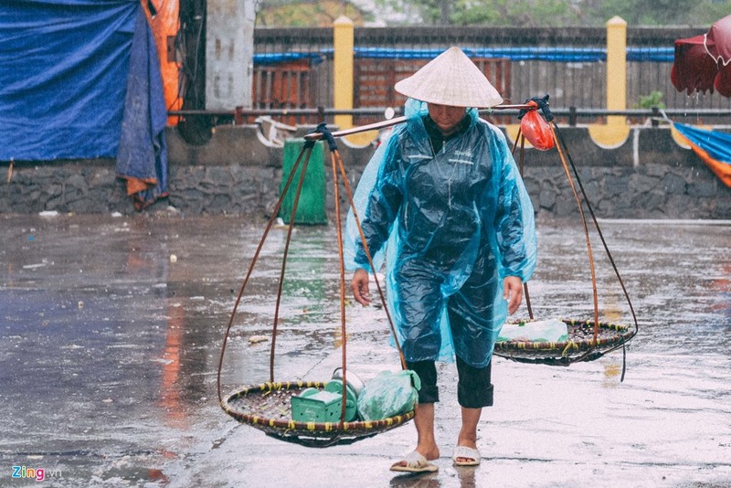 Chum anh: Nhung canh doi muu sinh trong mua lanh Ha Noi-Hinh-7