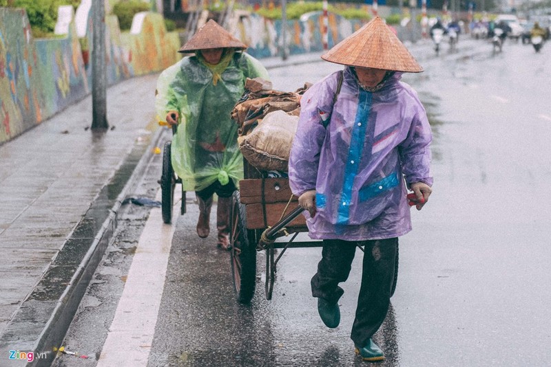 Chum anh: Nhung canh doi muu sinh trong mua lanh Ha Noi-Hinh-8