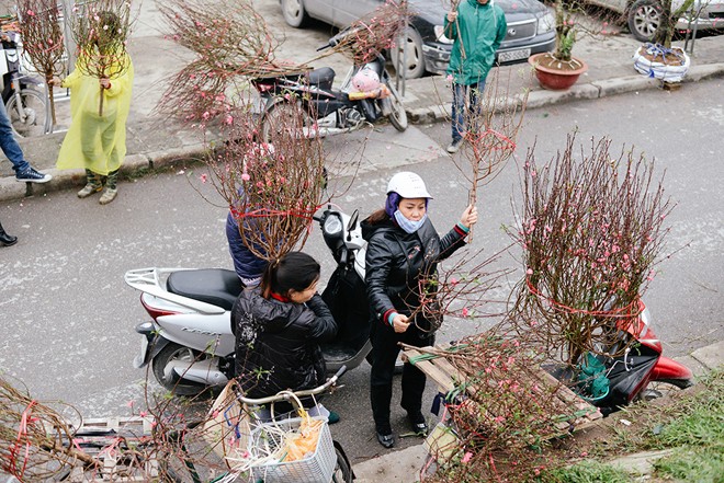 5 cho hoa noi tieng Ha Noi nen ghe tham trong dip Tet-Hinh-2