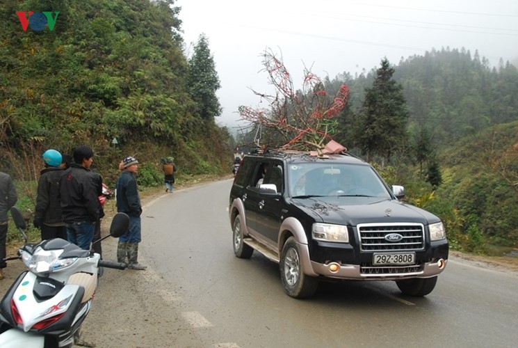 Dao rung Sa Pa ron rang xuong pho-Hinh-16