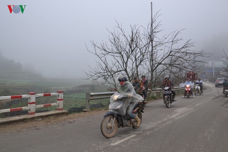 Dao rung Sa Pa ron rang xuong pho-Hinh-8