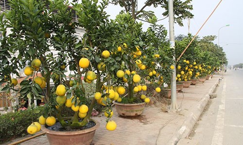 Buoi canh Tet: Khach la co tien van kho mua hang dep