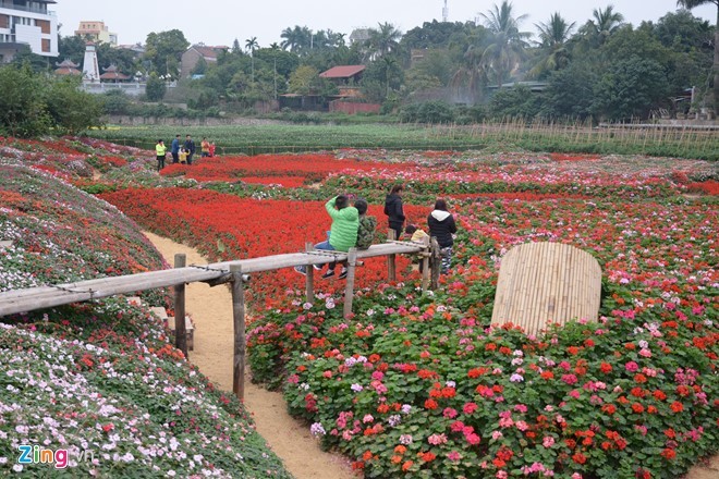 Kiem boi tien tu viec trong hoa giua long ho sen-Hinh-2