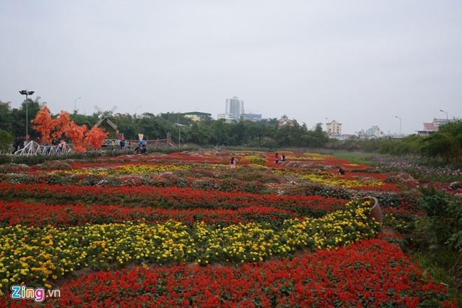 Kiem boi tien tu viec trong hoa giua long ho sen