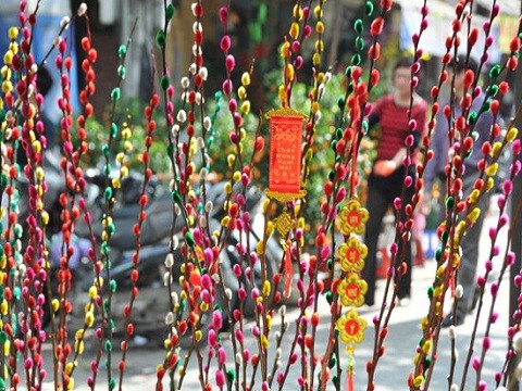 Nhung loai hoa mang may man, tai loc ngay Tet-Hinh-5