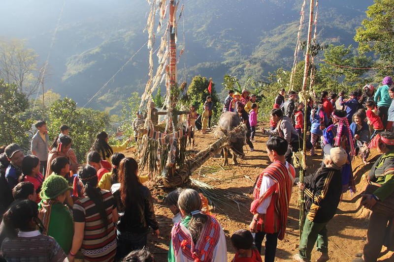 Anh: Dieu dac biet trong le dam trau o Quang Nam-Hinh-2