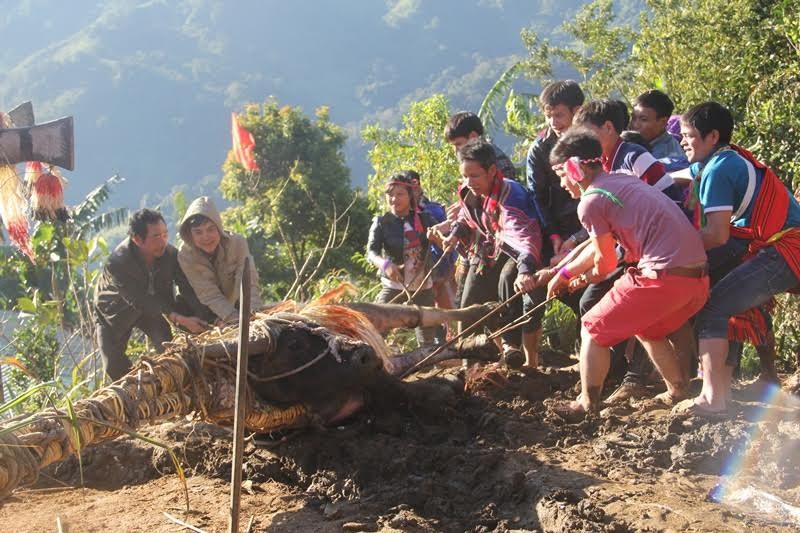 Anh: Dieu dac biet trong le dam trau o Quang Nam-Hinh-4