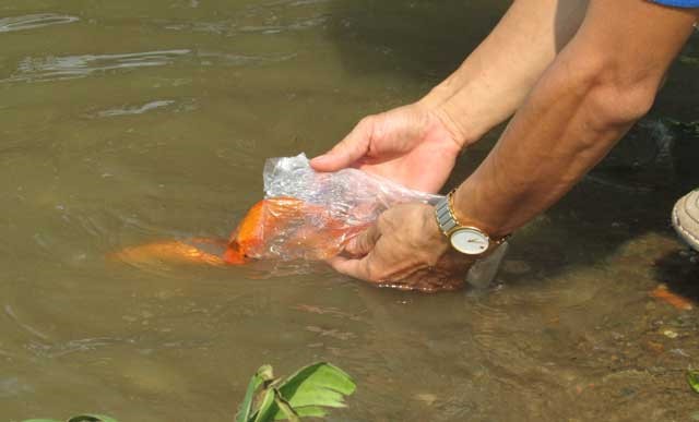 Phong sinh trong ngay ram thang Gieng can luu y nhung gi?-Hinh-5