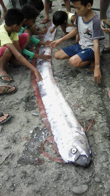 Ca mai cheo khong lo tien doan dong dat o Philippines?