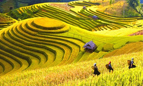 Vung nui phia Bac dung dau top diem den tiet kiem nhat