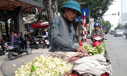 Kiem tien bang viec mang hoa buoi ra pho