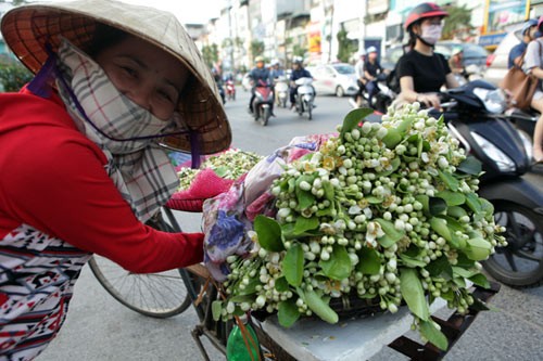 Anh: Mua hoa buoi diu dang xuong pho-Hinh-14