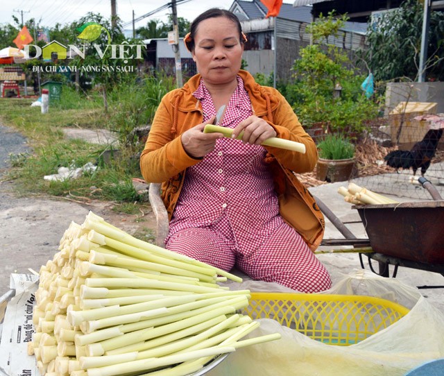 Gion ngon dua bon bon dac san Dat Mui-Hinh-3