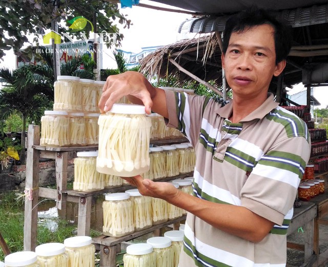 Gion ngon dua bon bon dac san Dat Mui-Hinh-7