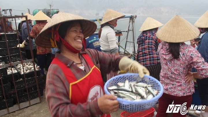 Ngu dan Ha Tinh thu bac trieu moi ngay tu “loc bien“-Hinh-5