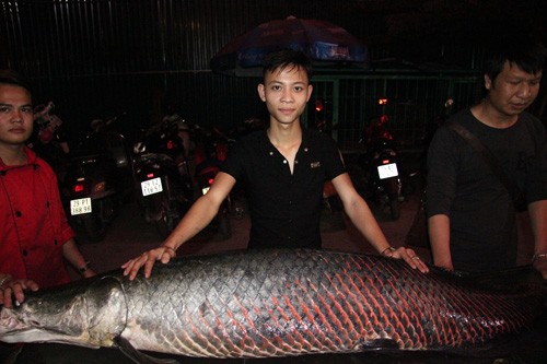 Ca hai tuong dai gan 2m xuat hien o Ha Noi