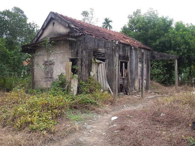 Khat khao chay bong cua cau be co me la “nguoi rung”-Hinh-2