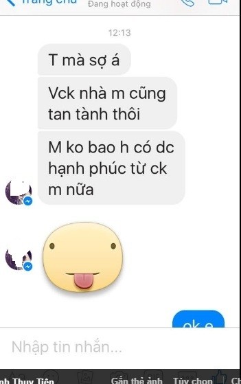 Cuoc khau chien giua vo va bo nhi khien dan mang tro mat-Hinh-4