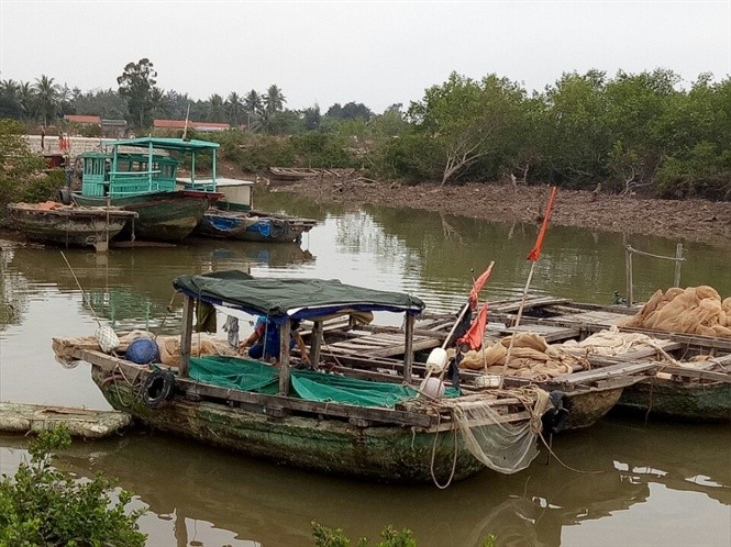 Ca tung vang soan ngoi ca su, trung me luoi ngang so doc dac